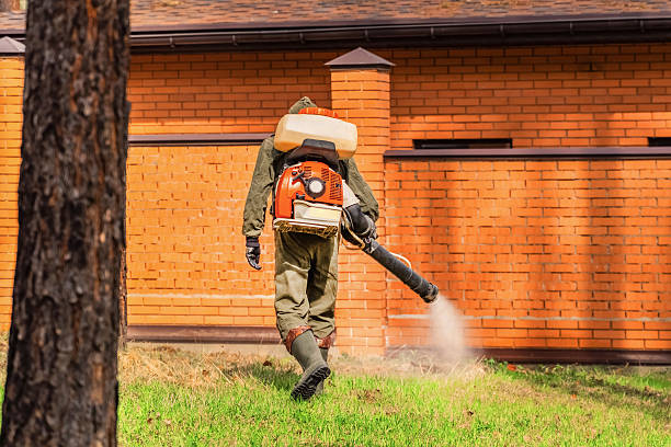Trusted Bed Bug Control service in Carlsbad, NM - Nex Pest Control
